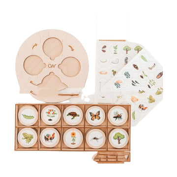 Wooden Life Cycle Learning Set on white background