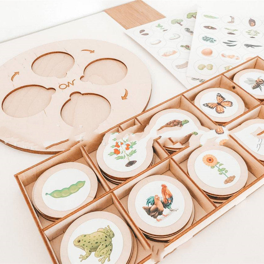 Wooden life cycle sorting tray with picture discs