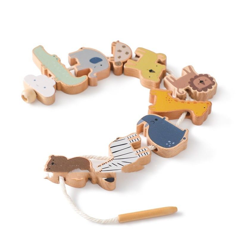 Wooden animal lacing toy threaded on white background