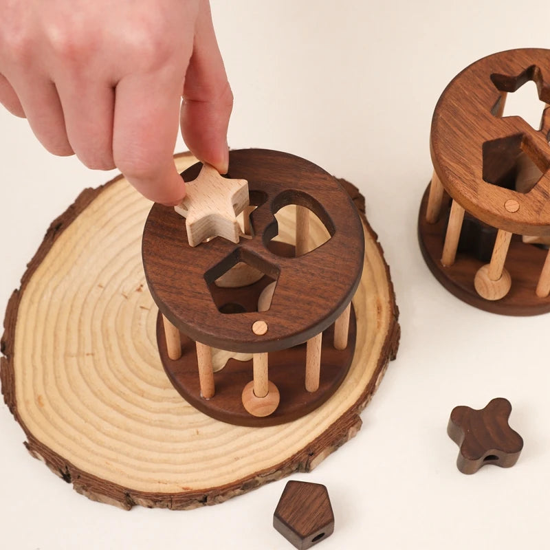 Wooden Geometric Shape Sorter in Shape Sorter