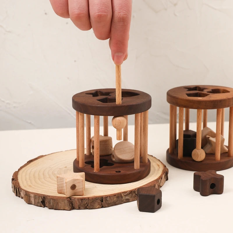 Hand posting a wooden shape into the walnut and beech shape sorter