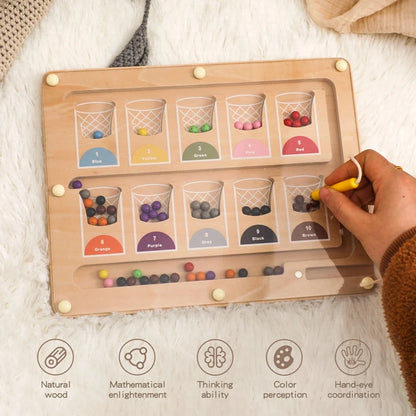 Montessori Magnetic Sorting Board